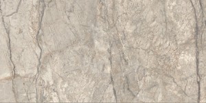 Caesar Anima Futura Amazing Silver Matt 60x120 płytka gresowa imitująca marmur