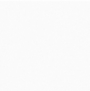 Netto Ceramika Tc White Polished 60x60 biała płytka podłogowa