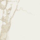 Gresowa podłogowa płytka imitująca biały  marmur z beżowo-złotą żyłą Saime Cave Forte Lucido 120x120 T810275