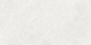 Netto Ceramika Forli Light Grey Polished 60x120 szare płytki kamienne