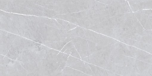 Płytka gresowa, podłogowa imitująca kamień w szarym kolorze, wykończenie powierzchni w połysku, Netto Ceramika Sterling Grey Polished 60x120