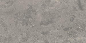 Caesar Portraits Rouen Matt 30x60 szara matowa płytka imitująca kamień