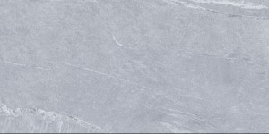 Caesar Portraits Versilia 60x120 - 20mm płytka tarasowa w jasnoszarym kolorze imitująca kamień