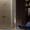 Aranżacja wnętrza z garderobą i miejscem na prysznic z deszczownicą i baterią podtynkową Omnires CONTOUR w kolorze złota szczotkowanego CT8035-1GLB