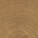 Emil Provenza W-Circles Walnut Naturale 10x10 ENJE- płytka gresowa imitująca drewno ukazująca słoje w przekroju drzewa