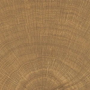 Emil Provenza W-Circles Walnut Naturale 10x10 ENJE drewno w kwadracie ukazujące słoje