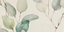 Jasna płytka ścienna, z botanicznym motywem, z liśćmi eukaliptusa Cifre Alure Lipra Ivory Mate Xs Pb 25x50 XS PB.