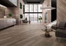 Saloni Eukalypt Prismas Marron 40x120