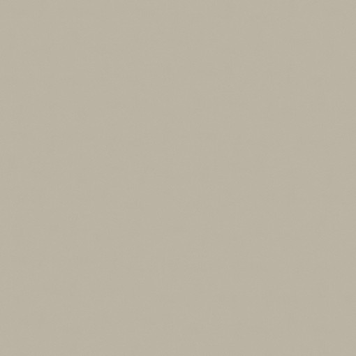 Saloni Proyeccion Gris 60x60