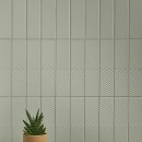 41zero42 Biscuit Plain Salvia 5x20