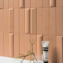 41zero42 Biscuit Peak Terra 5x20