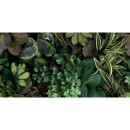 41zero42 Paper41 Pro Jane C 50x100