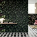 41zero42 Paper41 Pro Jane C 50x100