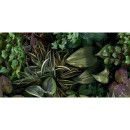 41zero42 Paper41 Pro Jane B 50x100