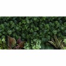 41zero42 Paper41 Pro Jane A 50x100