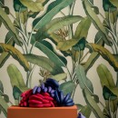 41zero42 Paper41 Pro Musa 50x100