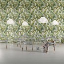 41zero42 Paper41 Pro Musa 50x100