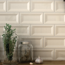 Equipe Evolution Inmetro Cream 7,5x15