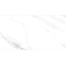 Halcon Naos Blanco Pulido 60x120