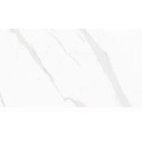 Geotiles Statuary Blanco High Glass 30x60