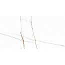 ITT Sahara Bianco Polished Rect. 60x120