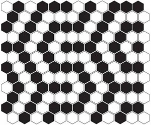 Dunin Mini Hexagon B&W Coral 26x30 mozaika heksagonalna