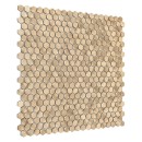 Dunin Metallic Allumi Gold Hexagon 14 30x30
