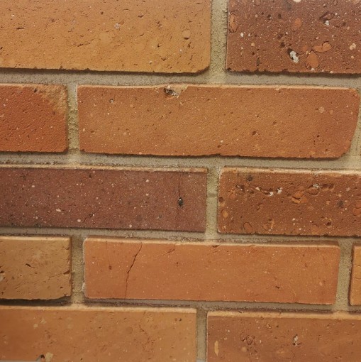 Cegła Cięta Flat 7,5x27 płytka z naturalnej cegły