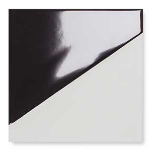 WOW Duo Black 15x15 121893 płytka gresowa 