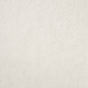 Colorker Concept Moon 59,5x59,5 płytka gresowa             