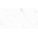 Carrara Classic Matt 60x120