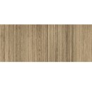 APE Koen Ki Caramello Rect. 40x120