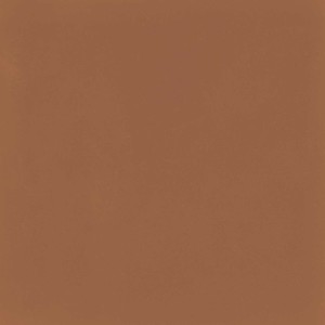 Marazzi D_Segni Colore Tangerine 20x20 M1KU płytka gresowa       