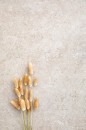 Marazzi Mystone Limestone Taupe Strutturato Rettificato 60x120 - 20 mm M7SQ