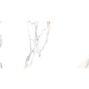 ITT Atlantis Gold Matt Rect. 60x120