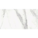 ITT Estatuario Polished Rect. 60x120