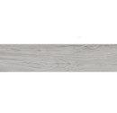 ITT Praga Grey Matt Rect. 22,5x119,5