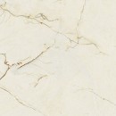 Fioranese Marmorea Intensa Venato Caramel Polished 74x74 M5752LR