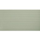 Fioranese Fio.Passepartout Neo Mint #1 30,2x60,4 PAS1VR