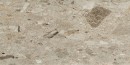 Fioranese Frammenta Beige Polished 30,2x60,4 CG362LR
