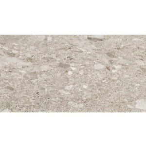 Fioranese Frammenta Grigio Chiaro Polished 30,2x60,4 CG363LR płytka podłogowa lastryko    
