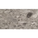 Fioranese Frammenta Grigio Scuro Polished 30,2x60,4 CG367LR