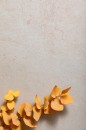 Marazzi Stonework Beige 30x60 MLHE