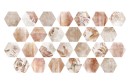 ZYX Amazonia Tropic Cotto 32x36,8