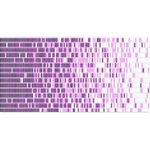 Dunin Q Grade Violet 32,7x26,3 mozaika basenowa    