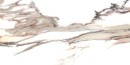 Calacatta Gold POLER 59,7x119,7