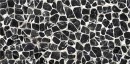 Imola The Room Turtle6 12 LP 60x120