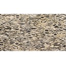 Imola The Room Ghepard6 260 LP 120x260