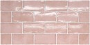 Equipe Altea Dusty Pink 7,5x15