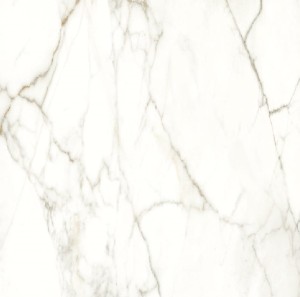 Naxos Rhapsody Emotion Polished Levigata Rett. 60x60 płytki marmurowe gresowe 